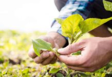 Gobernación de Antioquia demandará resolución que regula el uso del suelo en el Suroeste